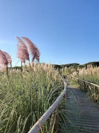 Sendero del Estuario