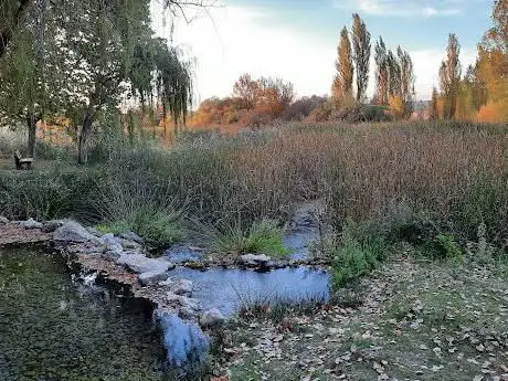 Photo de Area Recreativa Gormaz