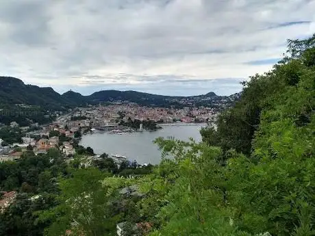 Photo de Cardina