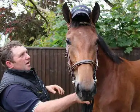 Photo de Ringfort Stud