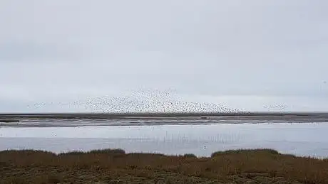 Photo de Oscar Merne memorial bird hide at Lurgangreen