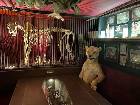 Photo de The Viktor Wynd Museum of Curiosities Fine Art & UnNatural History