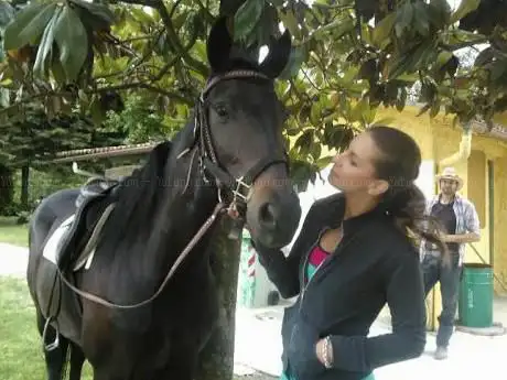 Photo de ASD Las Tapas Equestre
