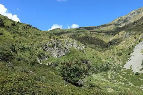 Photo de Alpe di Serdena