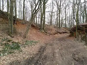 Pottelberg Woods