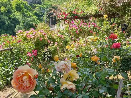 Photo de Giardino Segreto dell'Anima