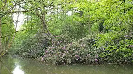 Photo de Parkdomein Kasteel Zellaer