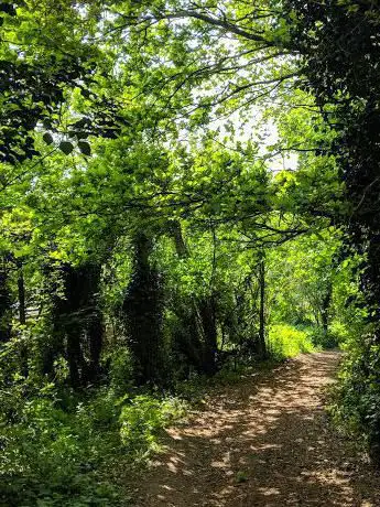 Garglehill Plantation