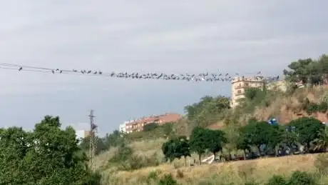Photo de Riu Ripoll