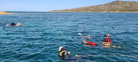Discovery Diving Sardegna