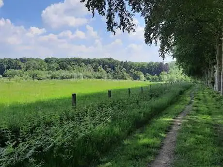 Photo de Papenelst of Twaalf Gemeten