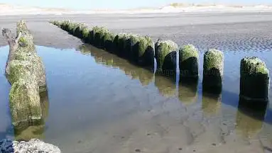 Photo de North Brigantine Natural Area