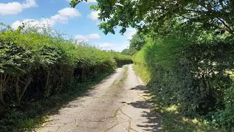 Bellhurst Wood
