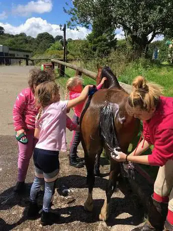 Photo de Rockwood Riding Centre