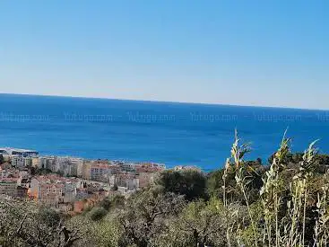 Parc d'Estienne d'Orves