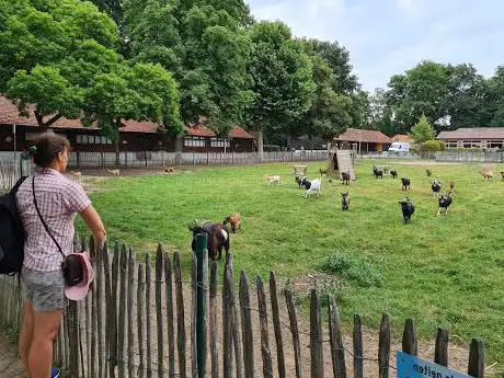 Kinderboerderij Kiewit