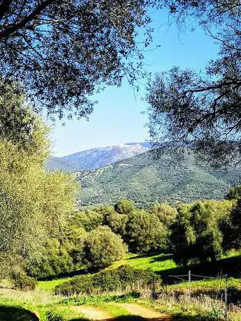 Photo de Foresta demaniale di Jacu Piu