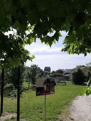 Photo de Jardins partagés de Bel Air