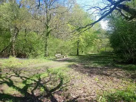 Photo de Picket Wood