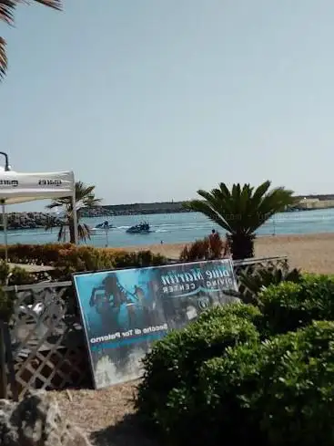 BLUE MARLIN DIVING CENTER