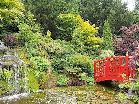 Photo de Mount Pleasant Gardens and Sculpture Trail