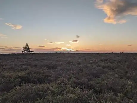 Photo de Canford Heath Nature Reserve