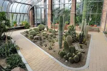 Botanischer Garten, Schaugewächshäuser