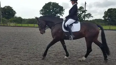 Photo de Swallowfield Equestrian Ltd