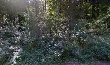 Becquerau Woods
