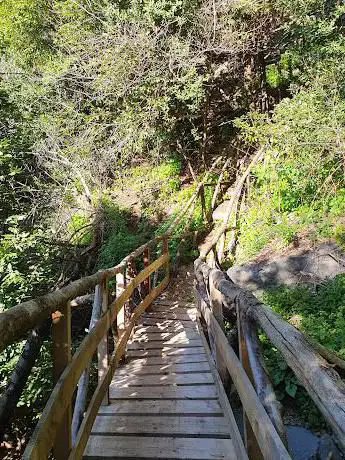 Photo de Accesso per il sentiero a Nemi
