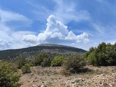 Photo de La Muela
