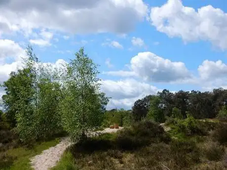 Photo de Staartse Duinen