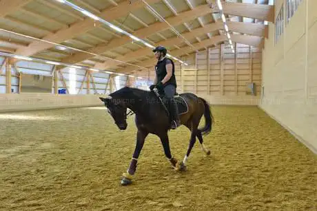 Sporthalle Hallwyl