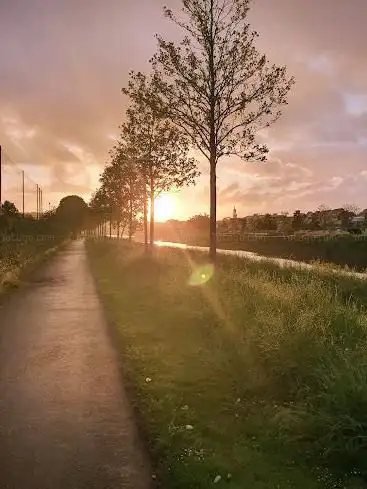 Photo de Skatepark de Landerneau