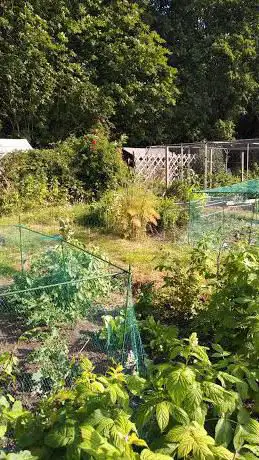 Photo de Hardenhuish Allotment