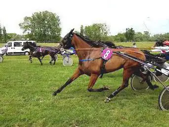Hippodrome d'Abbeville