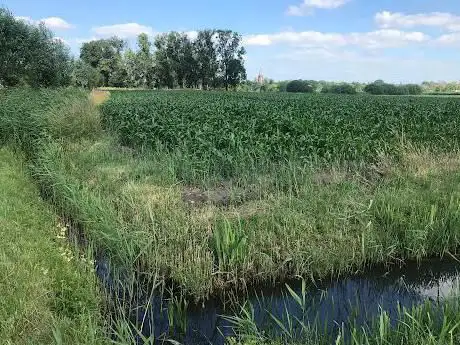 Het Moerken waterloop