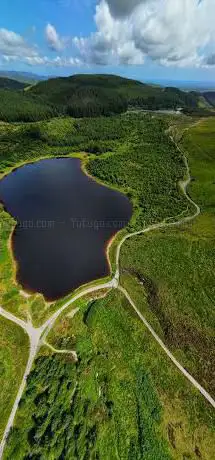 Photo de Llyn Blaenmelindwr