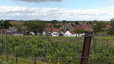Ausblick