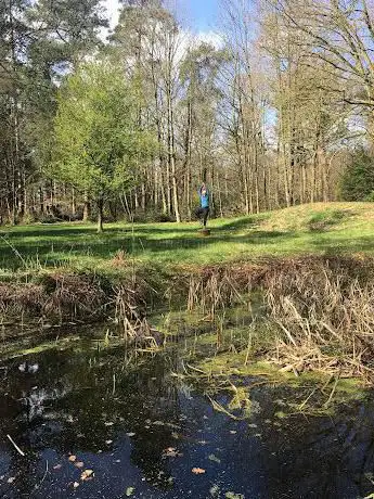 Merkenveld