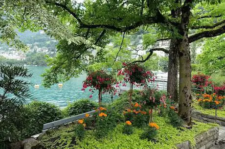 Photo de Quai des Fleurs