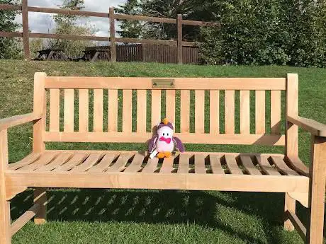 Photo de Fall Guys Bench
