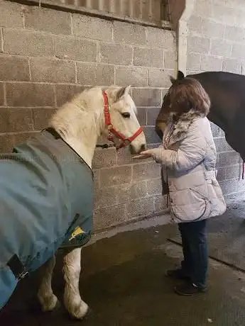 Wickstead Farm Equestrian Centre