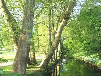 Arboretum de Segrez