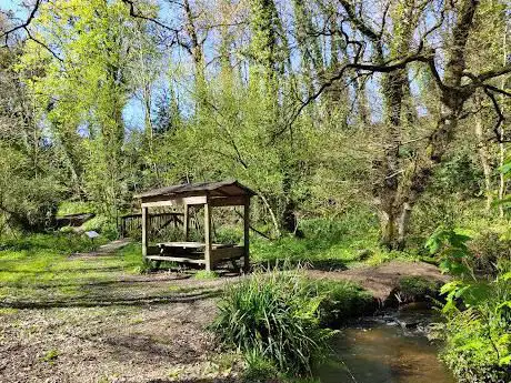 Forêt kermoroch