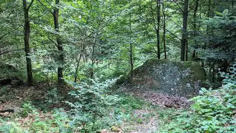 Graustei