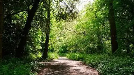 Photo de Cuckoo Wood (High Elms)