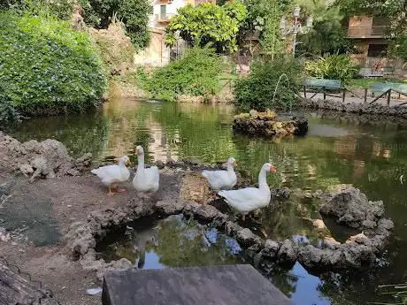Photo de Villa comunale di Reggio calabria