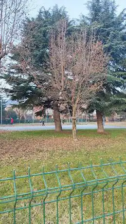 Photo de Parco giochi via Novara / via Italia