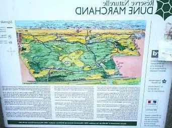 Mashena National Nature Reserve of the Dune Marchand